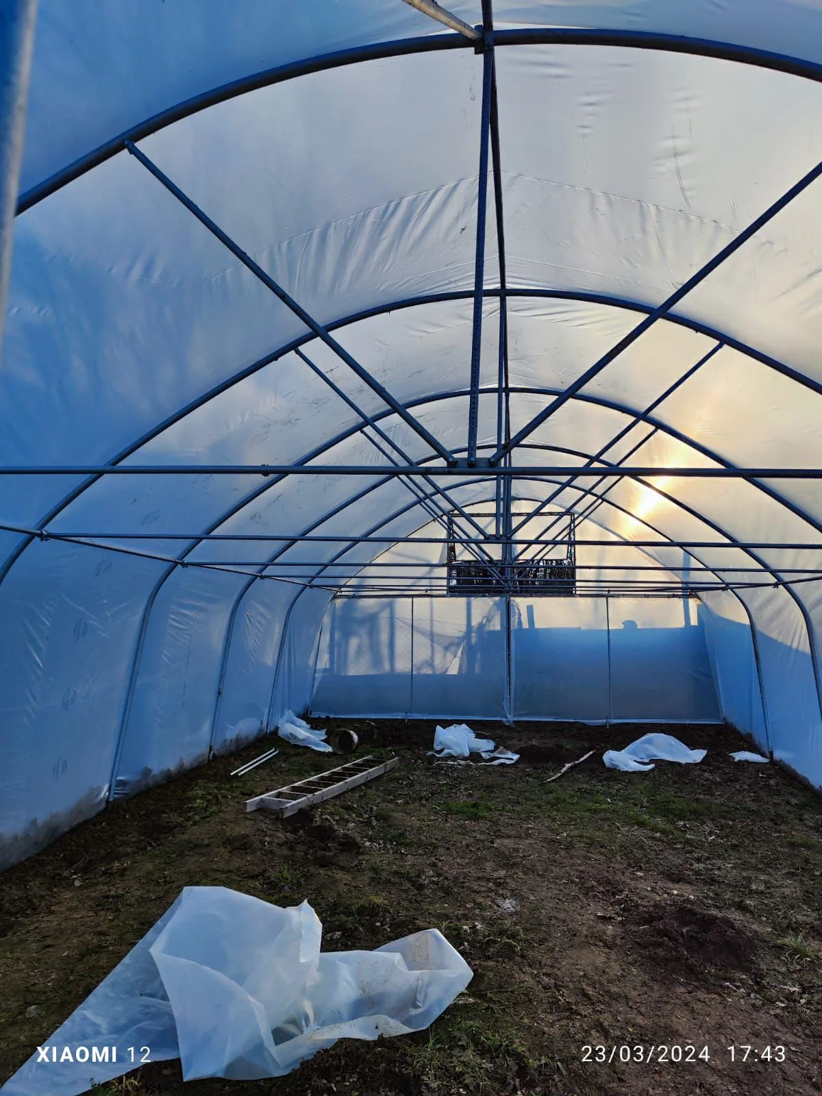 01KMZETE64774BFKK1KHKCTJAK