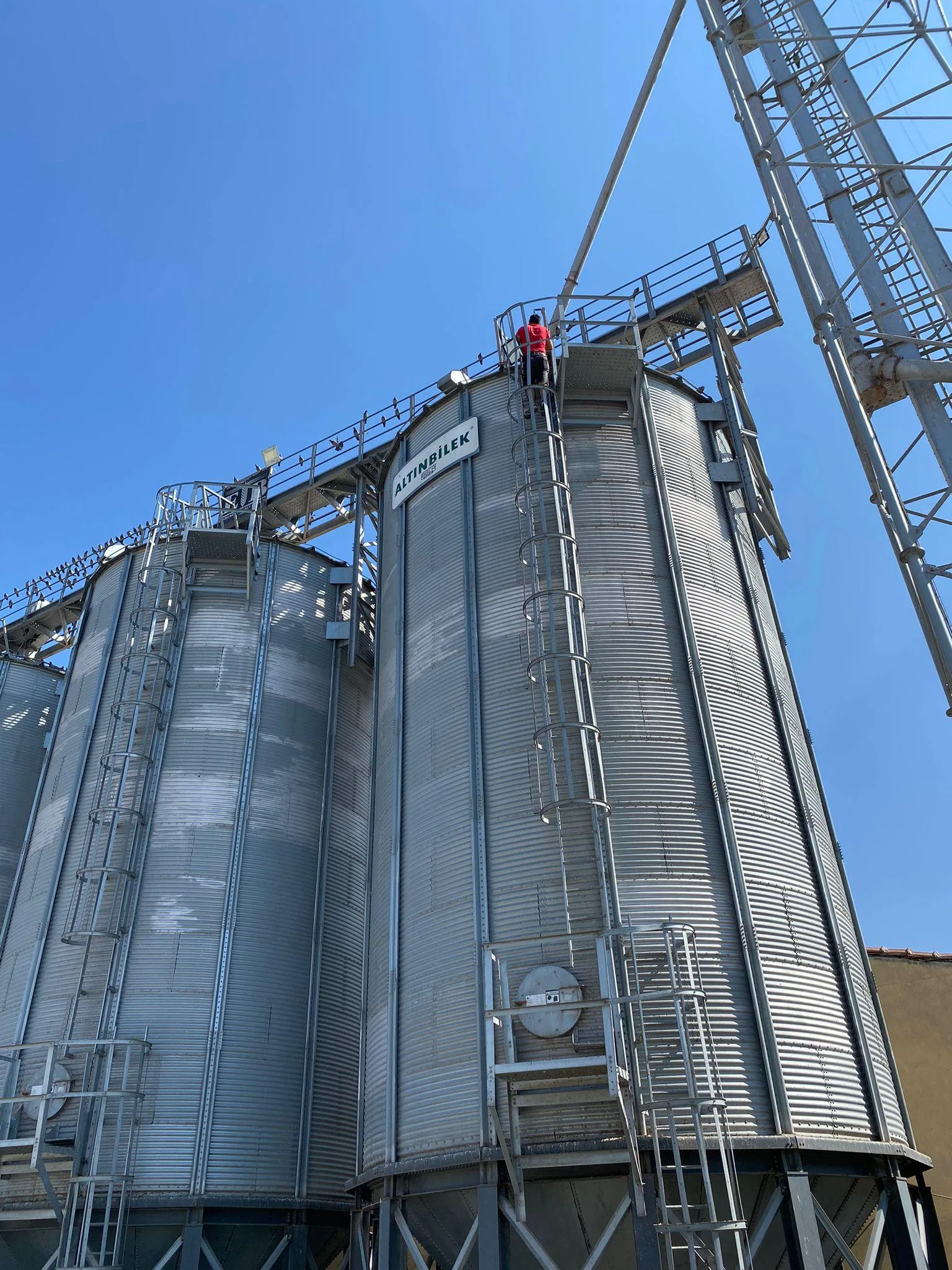 01KMZETE6FY7EZM5938PX9BTTS