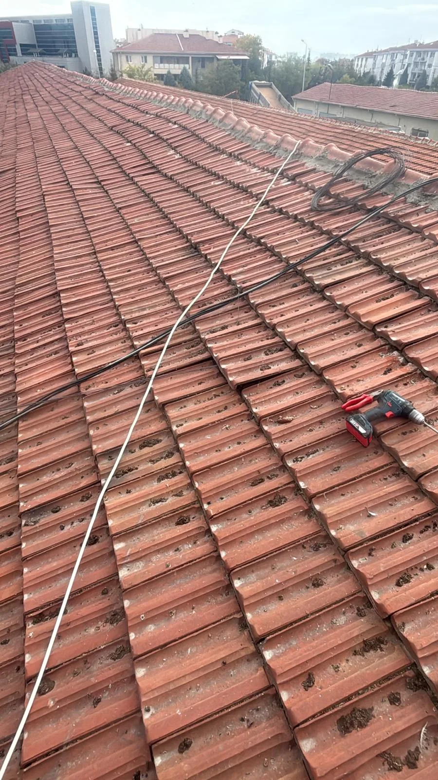 01KMZETE6S9GPXJ0Z998EEJCC0