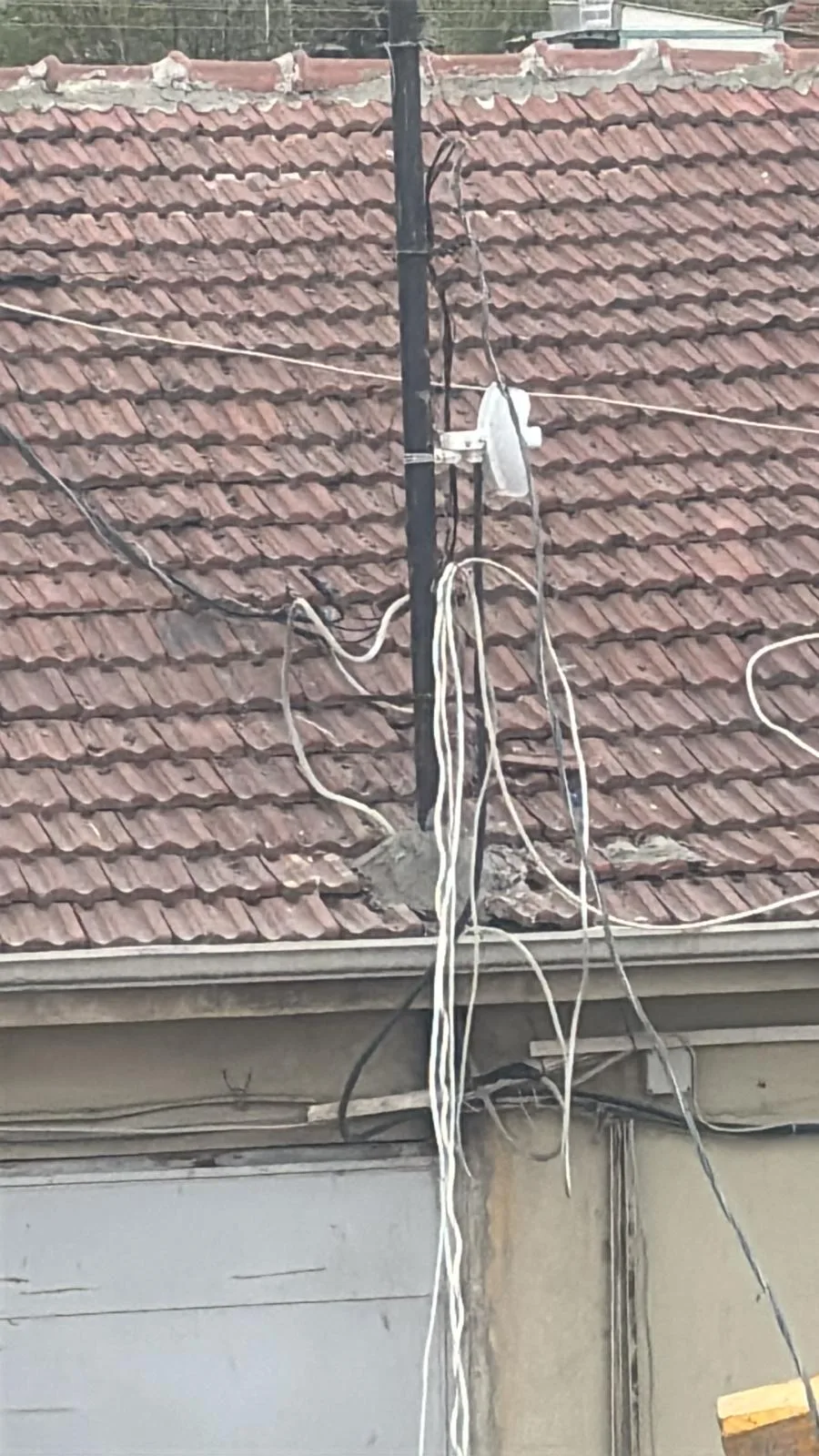 01KMZETE6WJVWWWB9BEFJKNE2M