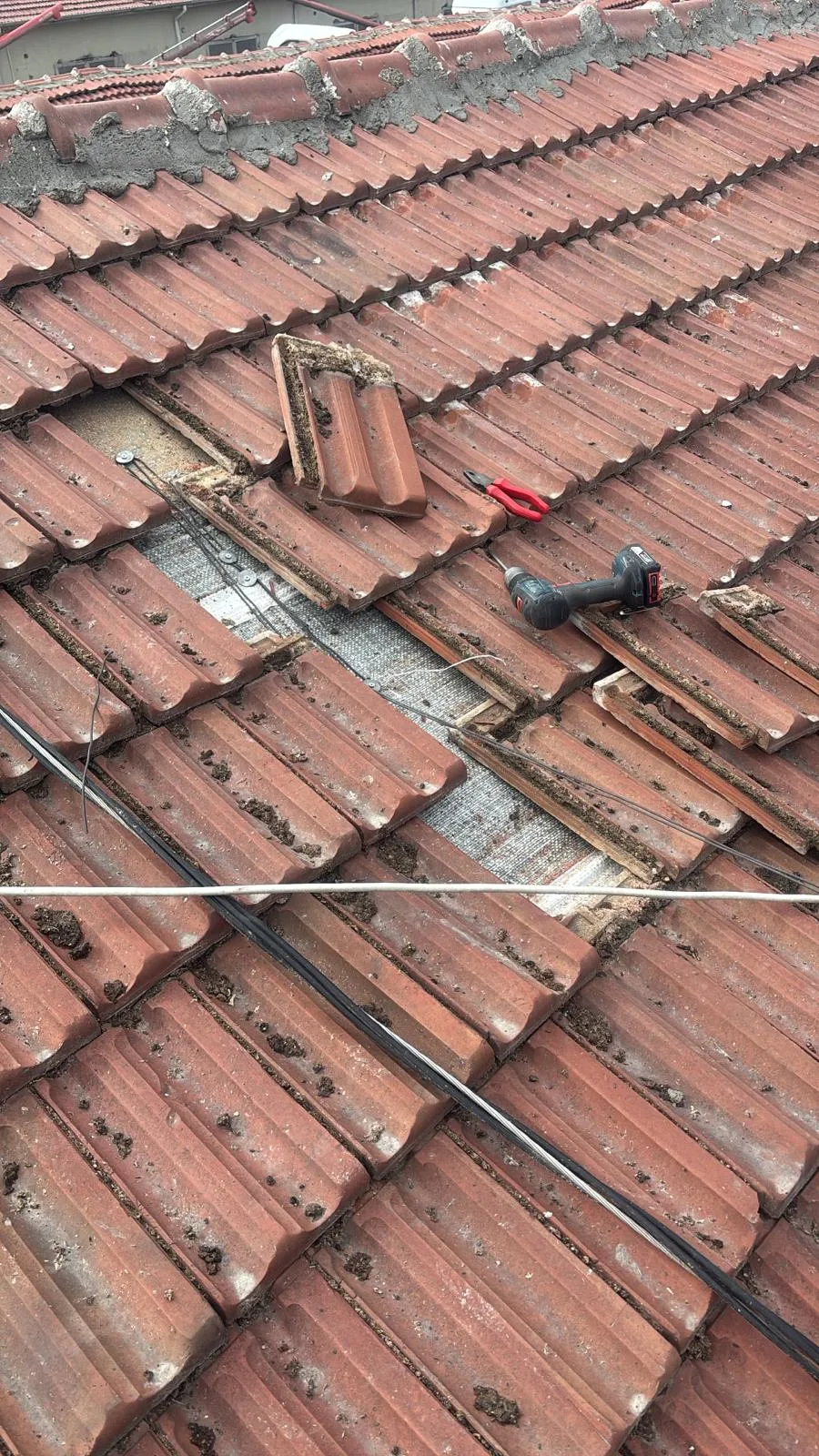 01KMZETE74F5CWZPAW9SS403KN