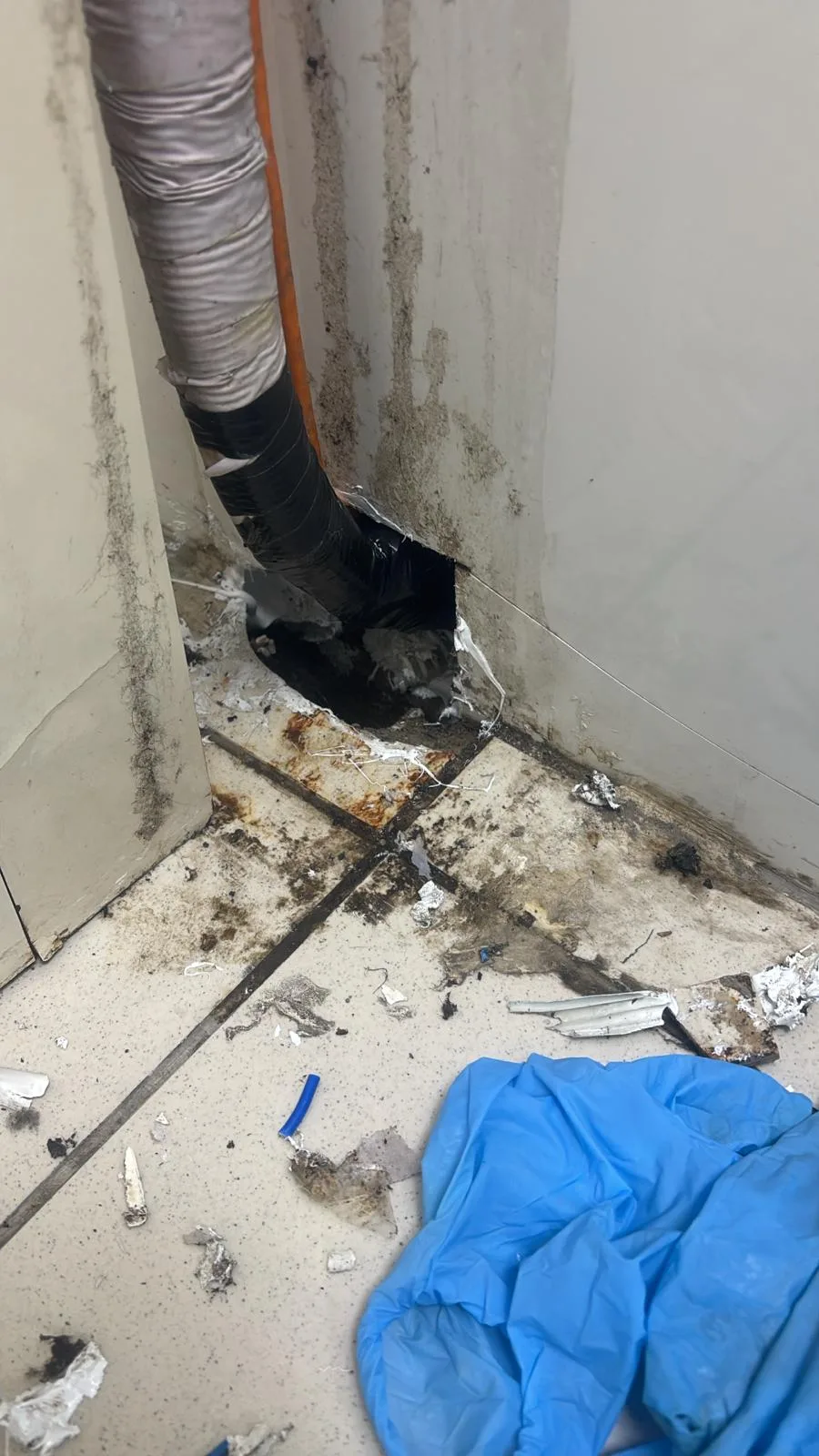 01KMZETE814EWB8WC4G965QV6Z