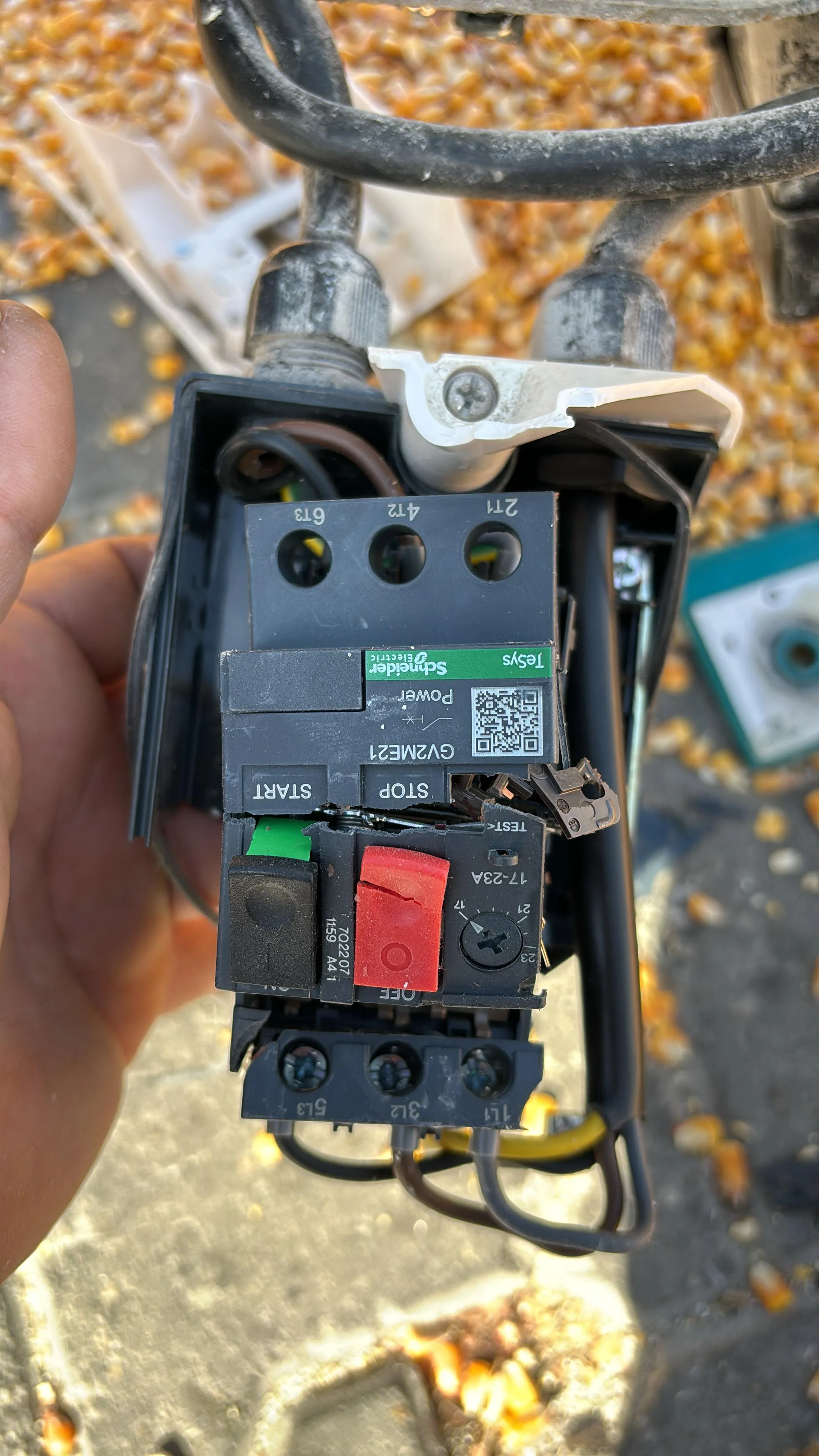 01KMZETEA0PFYR37SP3GV4C29B